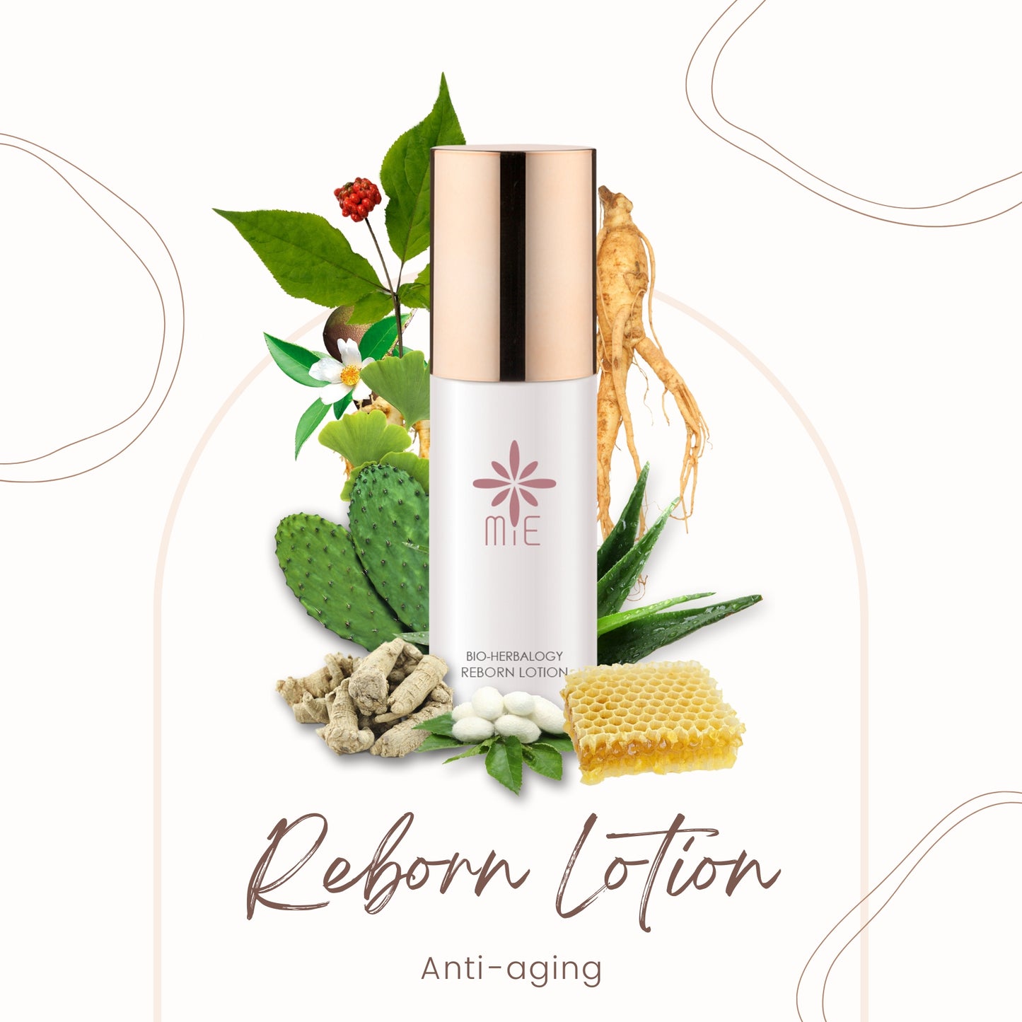 MiE 6 - Reborn Lotion